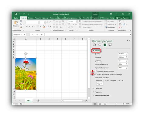 Как вставить картинку в ячейку в Excel