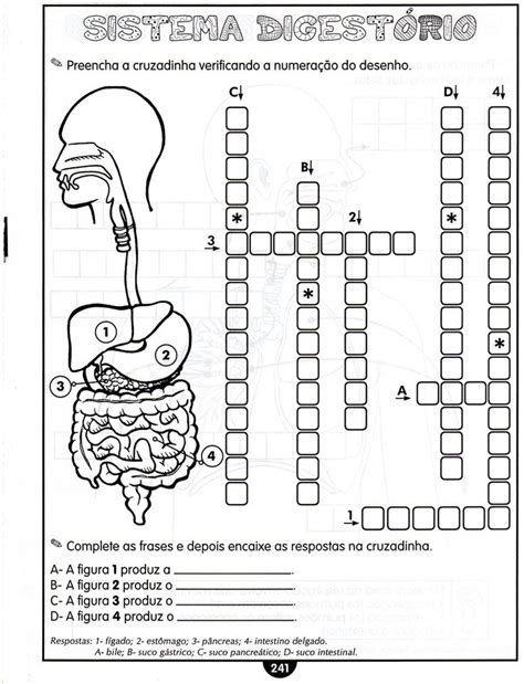 d escola Atividades para 4º E 5º ano Atividade corpo humano Corpo