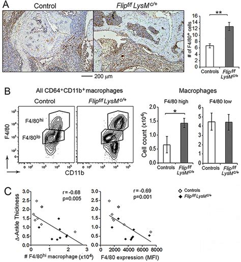 Association Of Increased F High Macrophages With Suppression Of