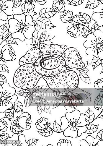 Flower Doodle Art Black White High-Res Vector Graphic - Getty Images