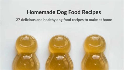 Dog food recipes UK | Natural, delicious and healthy!