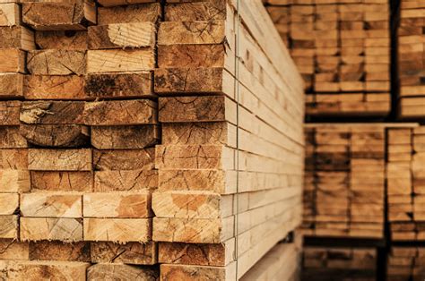 500+ Timber Pictures | Download Free Images on Unsplash