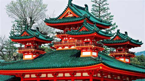 Japan Springtime Building Plant Belief Shrine Growth Cherry