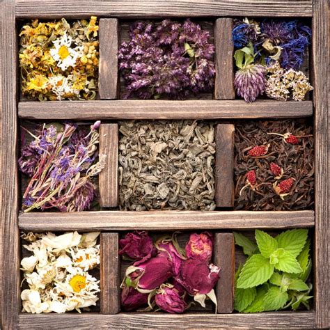 Dried Herbs Flowers Spices In The Spice Souq At Deira Stock Photo