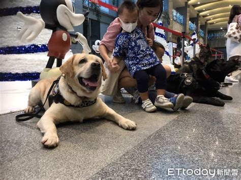 新北歡樂耶誕城開城啦！「台版行動dj警察」登場 謹慎防踩踏 Ettoday社會新聞 Ettoday新聞雲