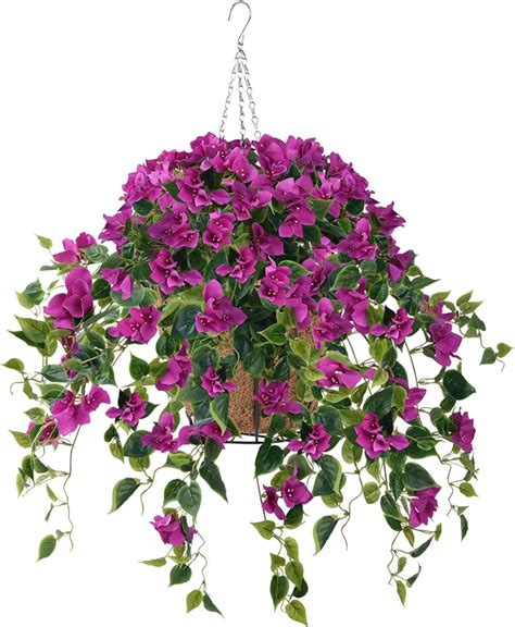 Amazon Hanging Baskets Outlet Aikicai Org