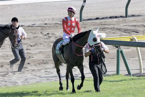 【アイビスsd】杉原「理想通りのポジション」ビリーバーと共に重賞初v 競馬ニュースなら競馬のおはなし