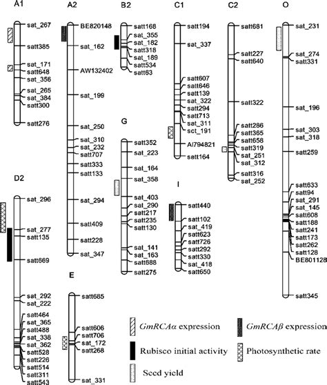 Summary Of Qtl Eqtl Locations Detected Markers Are Shown On The