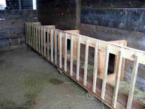 Diy Hay Feeder Goat Hay Feeder Feeding Goats Raising Goats Sheep Feeders Goat Shed