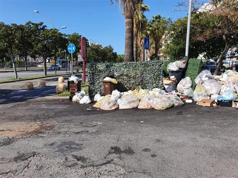 Emergenza Rifiuti A Reggio Calabria Buste Con Pesce Putrefatto Avvolte