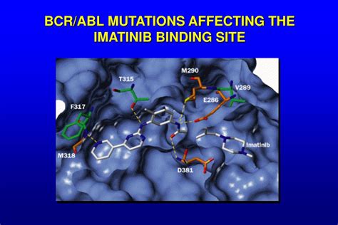 PPT POSSIBLE MECHANISMS OF IMATINIB RESISTANCE PowerPoint