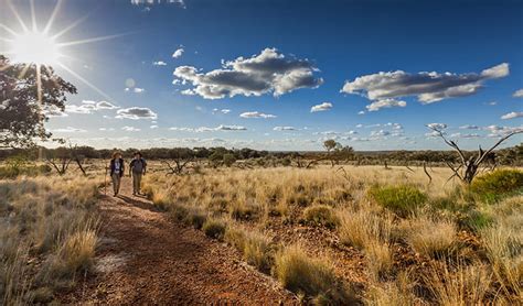 Nsw Deserts And Arid Shrublands Nsw National Parks