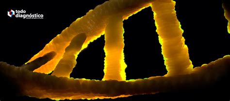 Relevancia Del Diagnóstico Molecular Una Tendencia Todo Diagnóstico