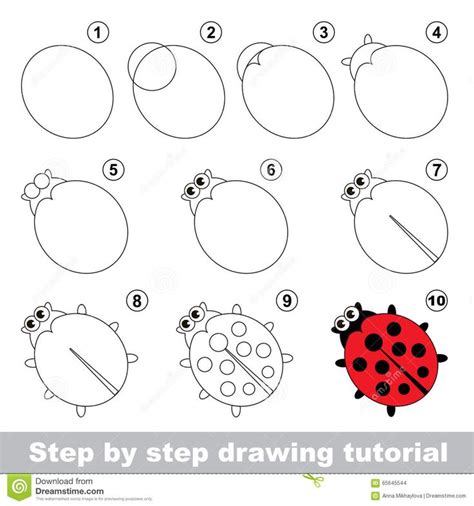 Zo Teken Je Lieveheersbeestje Tutoriel Dessin Dessin Dessin Chat Facile