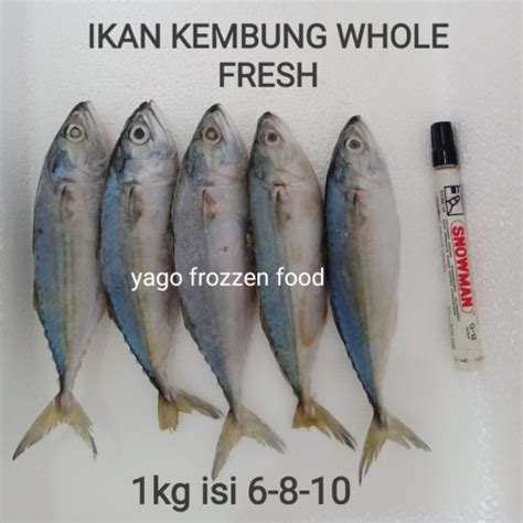 Jual Ikan Kembung Banjar Whole Fresh 1kg Isi 6 8 10 Jakarta Utara