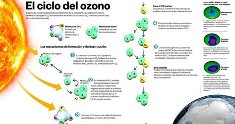 Estratosfera ¿qué Es Características Composición Y Más