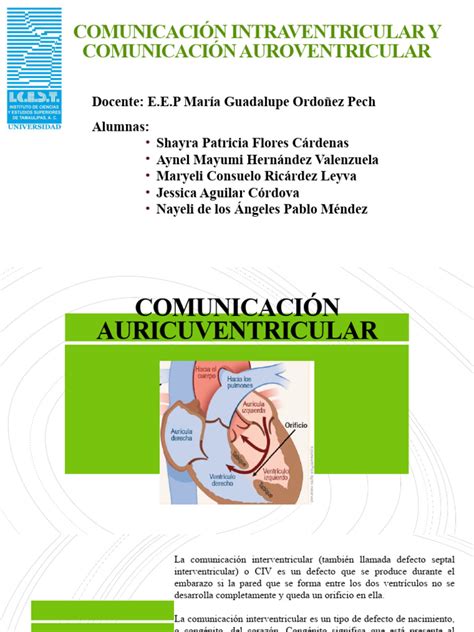 Comunicación Intraventricular Y Comunicación Auroventricular Pdf