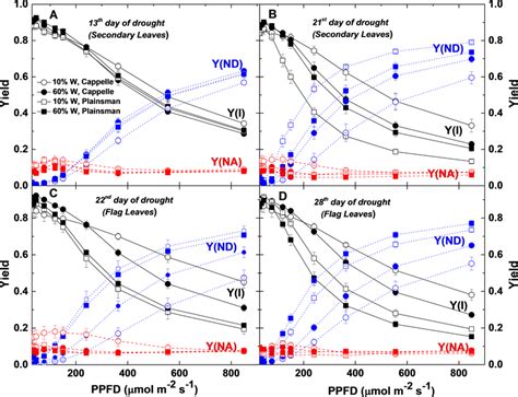 Light Response Of Quantum Yield Parameters Of Psi Photochemistry P700 Download Scientific