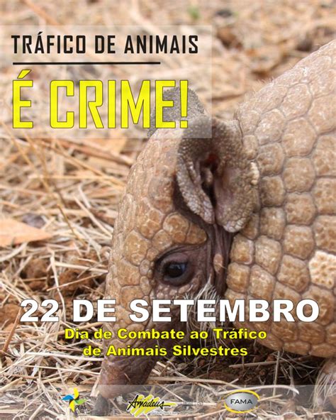 Campanha do PEAS 22 de Setembro Dia de Combate ao Tráfico de Animais