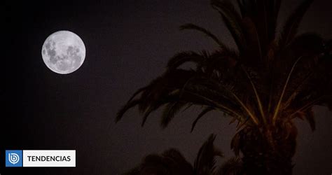 Luna de Nieve qué es y cuando ver el fenómeno de la luna llena en