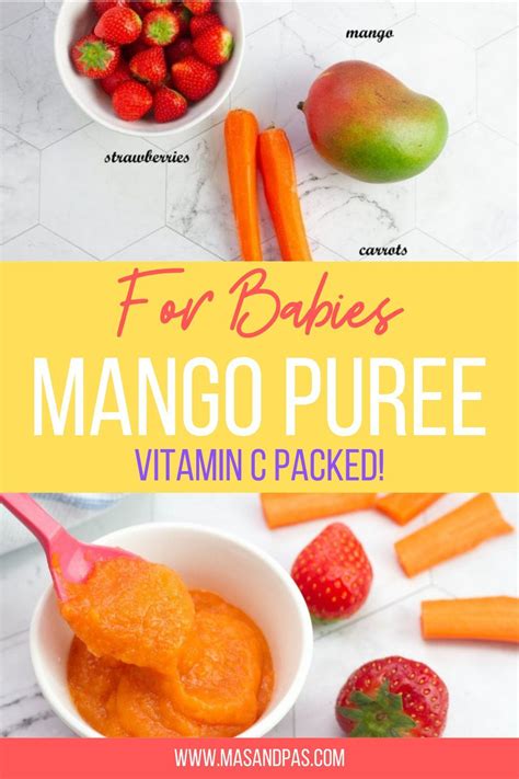 Vitamin C Packed Mango Baby Puree Recipe Baby Food Recipes Easy