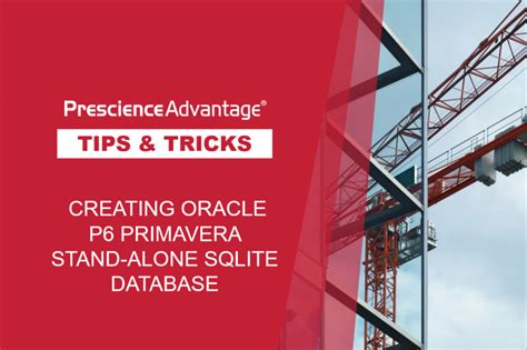 oracle primavera risk analysis primavera tips tricks tip