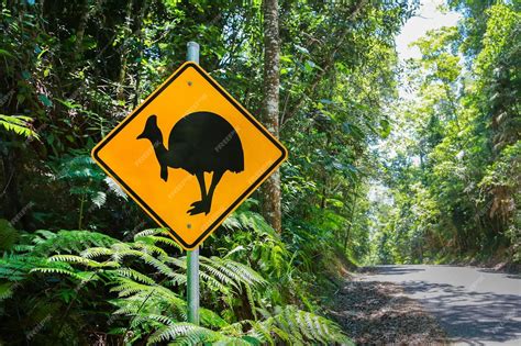 Premium Photo Cassowary Warning Sign On Road Bird Caution Wildlife Of Australia