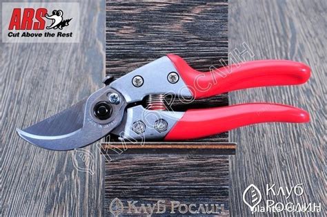 Лучшие секаторы для садовых работ