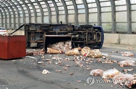 세종서 수산 폐기물 운반차량 전도 연합뉴스