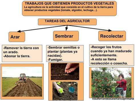 Dibujos Para Colorear Economia Sector Primario Imagui