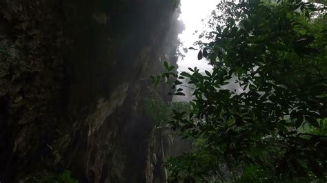 Mulu Caves And Bats Apr 2627 2023 Youtube