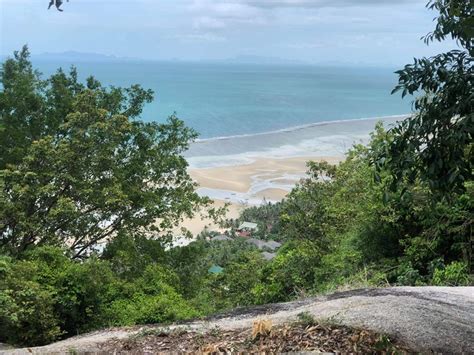 We Love Koh Phangan ☀️ Our Yellow Dal Fry Is Made From Boiled Yellow