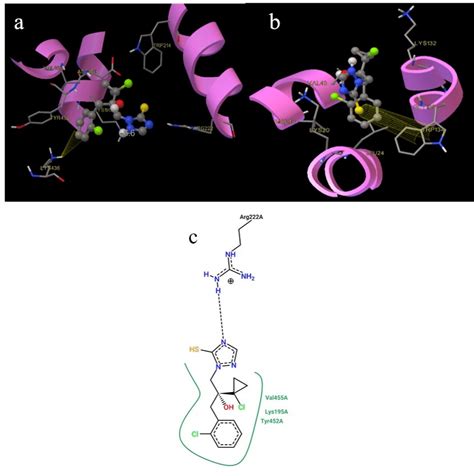 3d Representations Of Prothioconazole Ptc In Human Serum Albumin