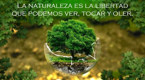 DÍa Mundial De ProtecciÓn De La Naturaleza Campus Educativo