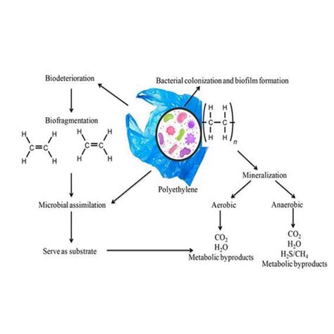 Enzymatic Degradation Of Plastic Recent Methods Applications And