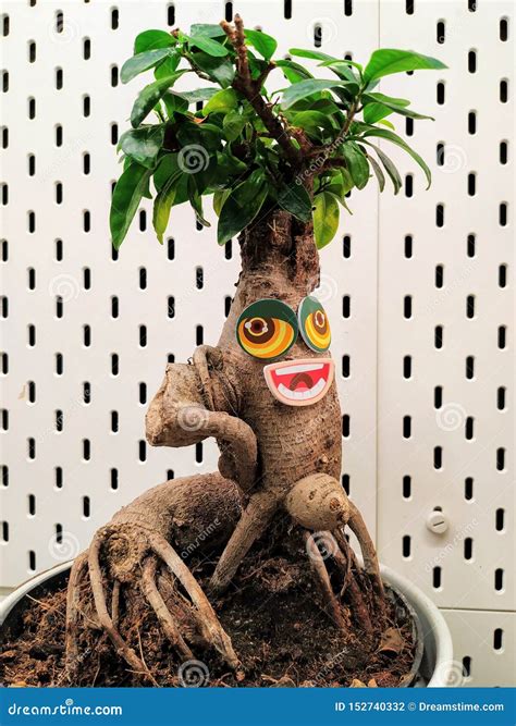 Funny Plant with Big Eyes and Mouth. Green Leaves-like Hair, Hairsty