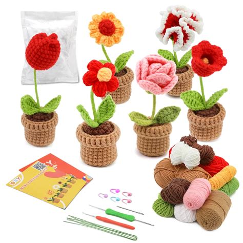 KRABALL Kit De Fleurs En Pot Pour D Butants Crochet Avec Vid O Fil De