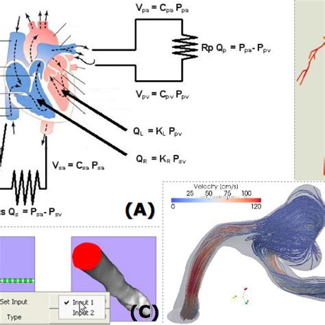 Multiarray Representation Of The Cardiovascular 3d Simulation Download Scientific Diagram