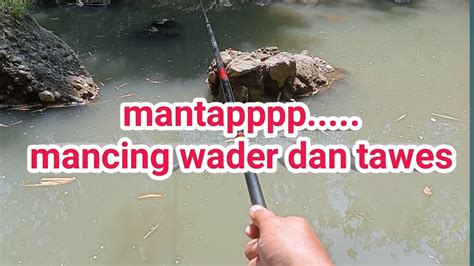 Mantappp Mancing Tawes Dan Wader Di Sungai Liar Mancing Liar Youtube