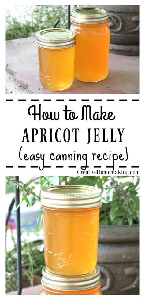 Apricot Jelly Canning Recipe Artofit