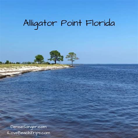 Top Beaches Near Tallahassee Florida What you Need To Know - Florida ...