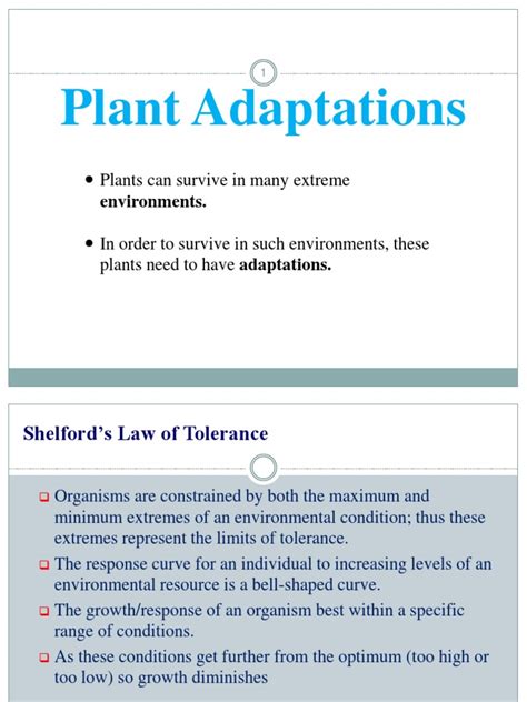 Plant Adaptations Plants Can Survive In Many Extreme Pdf Root Stoma