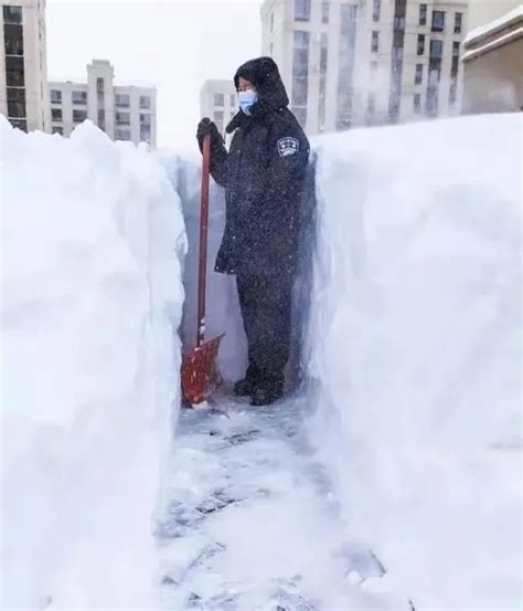 给东北人“整不会了”的大雪，是什么样的？澎湃号·湃客澎湃新闻 The Paper