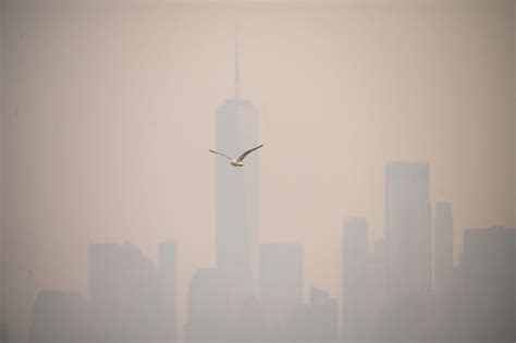 Brouillard Et Air Irrespirable à New York à Cause Des Incendies Au