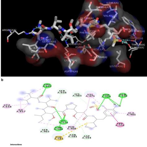 A 3d And B 2d V600e Brafia Interactions Download Scientific Diagram