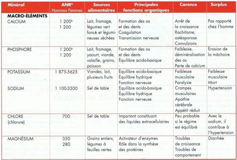 Le R Le Des Min Raux Nutrition Pour Le Bien Tre Et La Performance