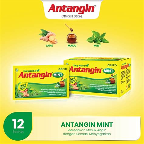 Jual Antangin Mint Sirup Herbal Box Sachet Dengan Sensasi