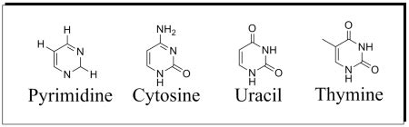 Pyrimidine | Definition, Bases & Structure - Lesson | Study.com