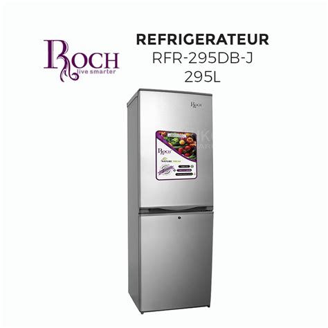 Réfrigérateur Roch Rfr 295db J 295l Gris 12 Mois Djokstoreci