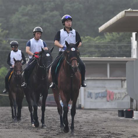 【新馬戦】期待の良血馬ヴィジョンメーカーが初陣 林師「将来性も含めて楽しみ」 競馬ニュース Netkeiba